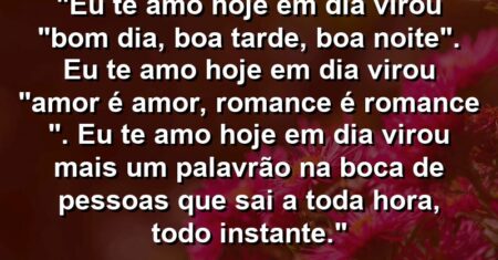 “Eu te amo hoje em dia virou “bom dia, boa tarde, boa noite”. Eu te amo hoje em dia virou “amor é amor, romance é romance ♫”. Eu te amo hoje em dia virou mais um palavrão na boca de pessoas que sai a toda hora, todo instante.”