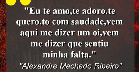 “Eu te amo,te adoro.te quero,to com saudade,vem aqui me dizer um OI,vem me dizer que sentiu minha falta.”