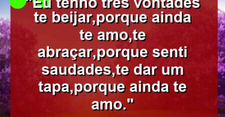 “eu tenho três vontades: TE BEIJAR,porque ainda te amo,TE ABRAÇAR,porque senti saudades,TE DAR UM TAPA,porque ainda te amo.”