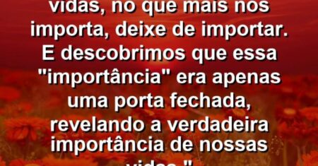 “Habrá um momento em nossas vidas, no que mais nos importa, deixe de importar. E descobrimos que essa “importância” era apenas uma porta fechada, revelando a verdadeira importância de nossas vidas.”
