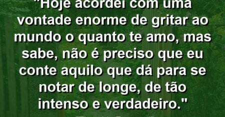“Hoje acordei com uma vontade enorme de gritar ao mundo o quanto te amo, mas sabe, não é preciso que eu conte aquilo que dá para se notar de longe, de tão intenso e verdadeiro.”