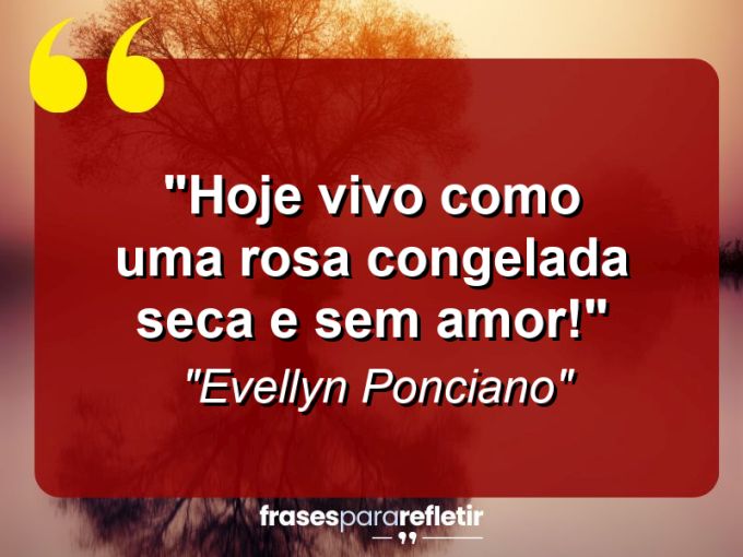 Frases de Amor: mensagens românticas e apaixonantes - “Hoje vivo como uma rosa congelada: seca e sem amor!”