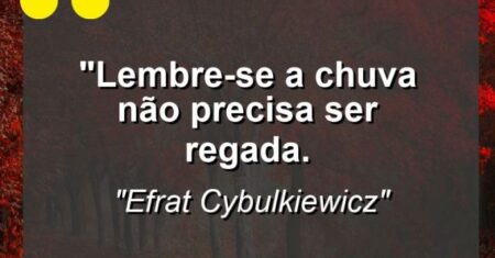 “Lembre-se: a chuva não precisa ser regada.