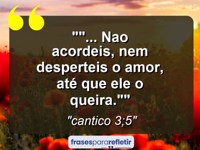 Frases de Amor: mensagens românticas e apaixonantes - “”… Nao acordeis, nem desperteis o amor, até que ele o queira.””