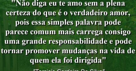 “Não diga eu Te Amo sem a plena certeza do que é o verdadeiro amor, pois essa simples palavra pode parece comum mais carrega consigo uma grande responsabilidade e pode tornar promover mudanças na vida de quem ela foi dirigida”