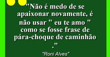 “Não é medo de se Apaixonar Novamente, é não usar ” Eu te Amo ” como se fosse frase de pára-choque de caminhão .”