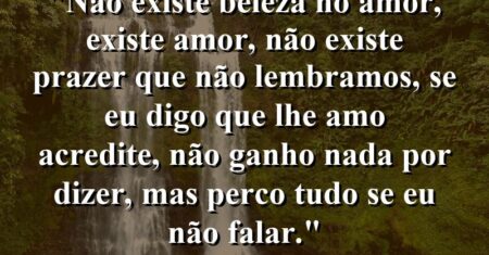 “Não existe beleza no amor, existe amor, não existe prazer que não lembramos, se eu digo que lhe amo acredite, não ganho nada por dizer, mas perco tudo se eu não falar.”