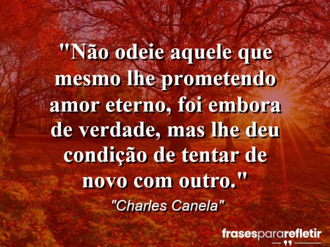 Frases de Amor: mensagens românticas e apaixonantes - “Não odeie aquele que mesmo lhe prometendo amor eterno, foi embora de verdade, mas lhe deu condição de tentar de novo com outro.”