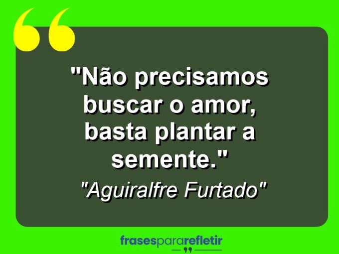 Frases de Amor: mensagens românticas e apaixonantes - “Não precisamos buscar o amor, basta plantar a semente.”