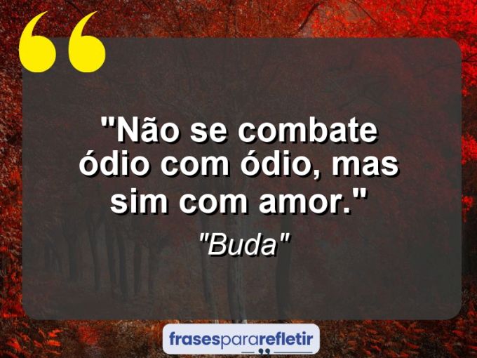 Frases de Amor: mensagens românticas e apaixonantes - “Não se combate ódio com ódio, mas sim com amor.”