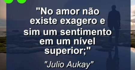 “No amor não existe exagero e sim um sentimento em um nível superior;”