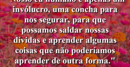 “Nosso eu humano é apenas um invólucro, uma concha para nos segurar, para que possamos saldar nossas dívidas e aprender algumas coisas que não poderíamos aprender de outra forma.”