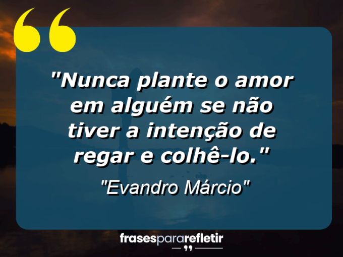 Frases de Amor: mensagens românticas e apaixonantes - “Nunca plante o amor em alguém se não tiver a intenção de regar e colhê-lo.”