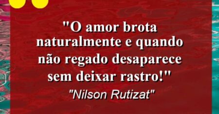 “O amor brota naturalmente e quando não regado desaparece sem deixar rastro!”