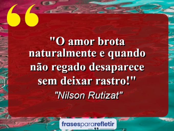 Frases de Amor: mensagens românticas e apaixonantes - “O amor brota naturalmente e quando não regado desaparece sem deixar rastro!”