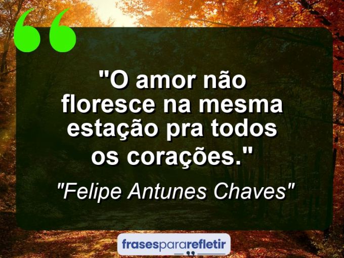 Frases de Amor: mensagens românticas e apaixonantes - “O amor não floresce na mesma estação pra todos os corações.”