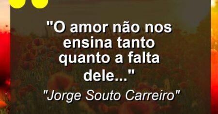 “O amor não nos ensina tanto quanto a falta dele…”