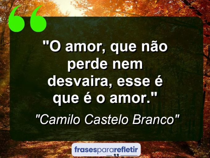 Frases de Amor: mensagens românticas e apaixonantes - “O amor, que não perde nem desvaira, esse é que é o amor.”