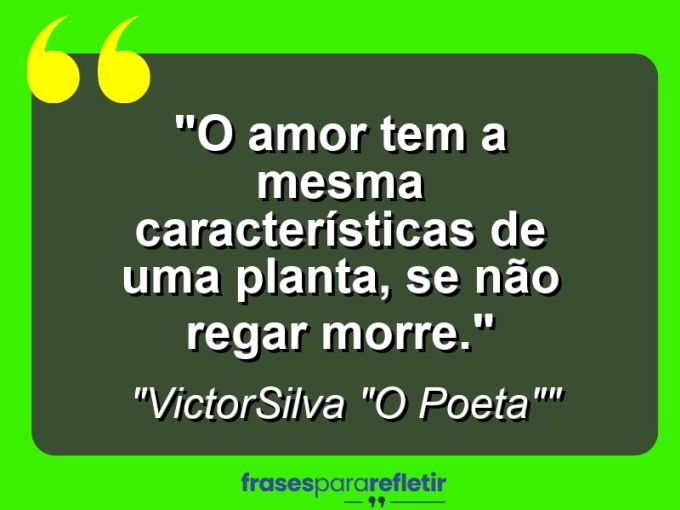 Frases de Amor: mensagens românticas e apaixonantes - “O AMOR tem a mesma características de uma planta, SE NÃO REGAR MORRE.”