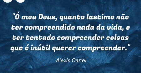 “Ó meu Deus, quanto lastimo não ter compreendido nada da vida, e ter tentado compreender coisas que é inútil querer compreender.”