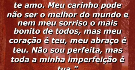 “Porque apesar de tudo eu te amo. Meu carinho pode não ser o melhor do mundo e nem meu sorriso o mais bonito de todos, mas meu coração é teu, meu abraço é teu. Não sou perfeita, mas toda a minha imperfeição é tua.”