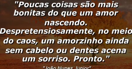 “Poucas coisas são mais bonitas do que um amor nascendo. Despretensiosamente, no meio do caos, um amorzinho ainda sem cabelo ou dentes acena um sorriso. Pronto.”