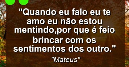 “Quando eu falo eu te amo eu não estou mentindo,por que é feio brincar com os sentimentos dos outro.”
