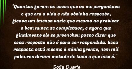 “Quantas foram as vezes que eu me perguntava o que era a vida e não obtinha resposta, ficava um imenso vazio que mesmo ao praticar o bem nunca se completava, e agora que finalmente ele se preencheu posso dizer que essa resposta não é para ser respondida. Essa resposta está mesmo à minha frente, nem mil palavras diriam metade de tudo o que isto é.”