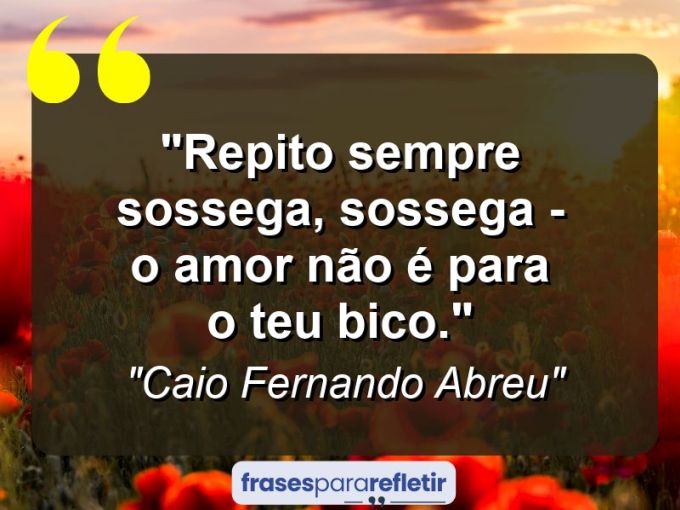 Frases de Amor: mensagens românticas e apaixonantes - “Repito sempre: sossega, sossega – o amor não é para o teu bico.”