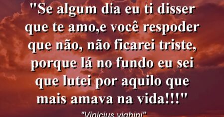 “Se algum dia eu ti disser que te amo,e você respoder que não, não ficarei triste, porque lá no fundo eu sei que lutei por aquilo que mais amava na vida!!!”