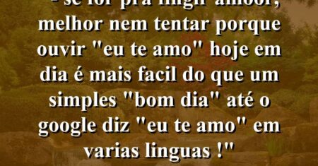 “- Se for pra fingir amoor, melhor nem tentar porque ouvir “EU TE AMO” hoje em dia é mais facil do que um simples “BOM DIA” até o GOOGLE diz “EU TE AMO” em varias linguas !”