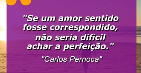 “Se um amor sentido fosse correspondido, não seria dificil achar a PERFEIÇÃO.”