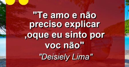 ” Te amo e não preciso explicar ,oque eu sinto por voc não”