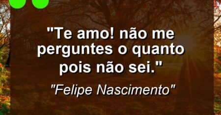 “Te amo! Não me perguntes o quanto pois não sei.”