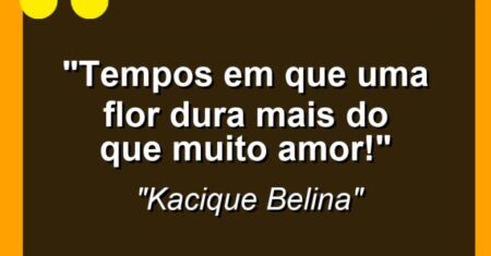 “Tempos em que uma flor dura mais do que muito amor!”