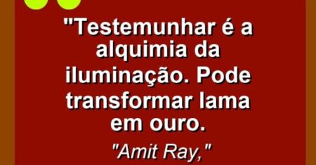 “Testemunhar é a alquimia da iluminação. Pode transformar lama em ouro.