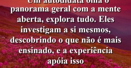 “Um autodidata olha o panorama geral com a mente aberta, explora tudo. Eles investigam a si mesmos, descobrindo o que não é mais ensinado, e a experiência apóia isso