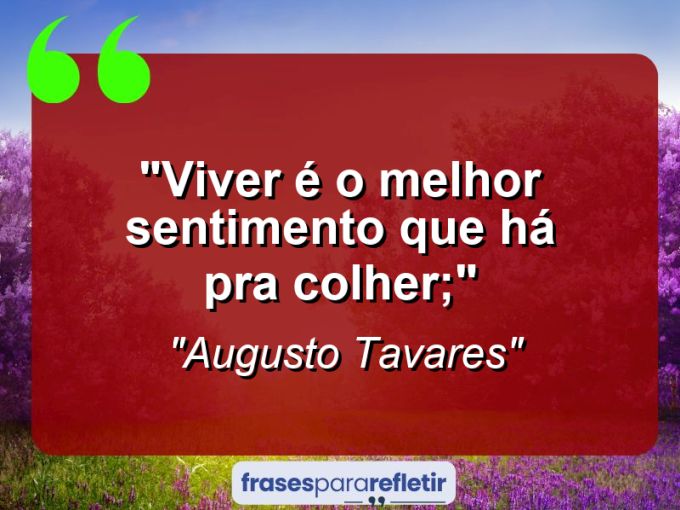 Frases de Amor: mensagens românticas e apaixonantes - “Viver é o melhor sentimento que há pra colher;”