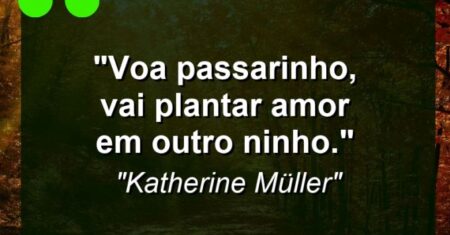 “Voa passarinho, vai plantar amor em outro ninho.”