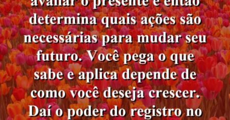 “Você revisa o passado para avaliar o presente e então determina quais ações são necessárias para mudar seu futuro. Você pega o que sabe e aplica depende de como você deseja crescer. Daí o poder do registro no diário.