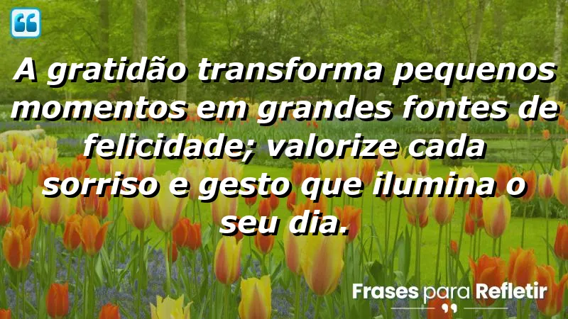 Frases de Felicidade para Status - A gratidão ilumina a vida.