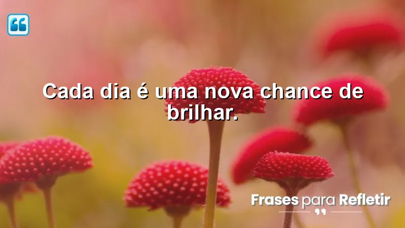 Imagem com Frases Curtas de Motivação que inspiram a brilhar a cada novo dia.