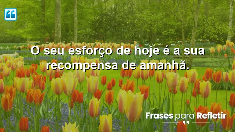 Frases Curtas de Motivação sobre o esforço e recompensas futuras.