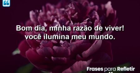 Bom dia, minha razão de viver! Você ilumina meu mundo.