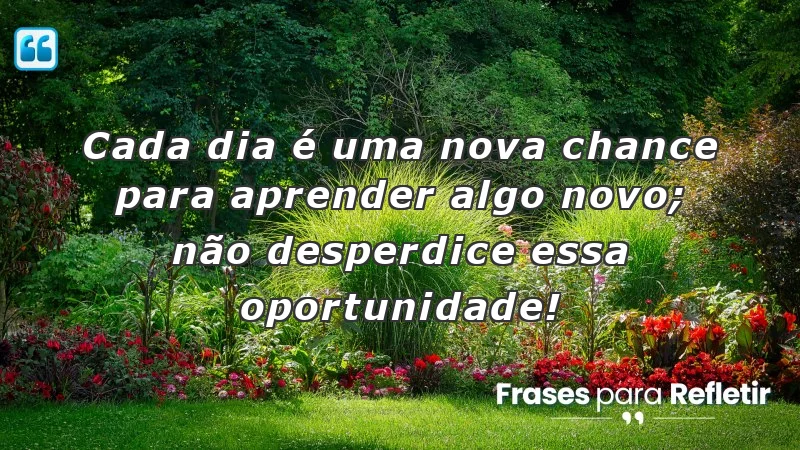 Frases de incentivo para alunos: inspire-se a aprender diariamente e transforme sua vida.