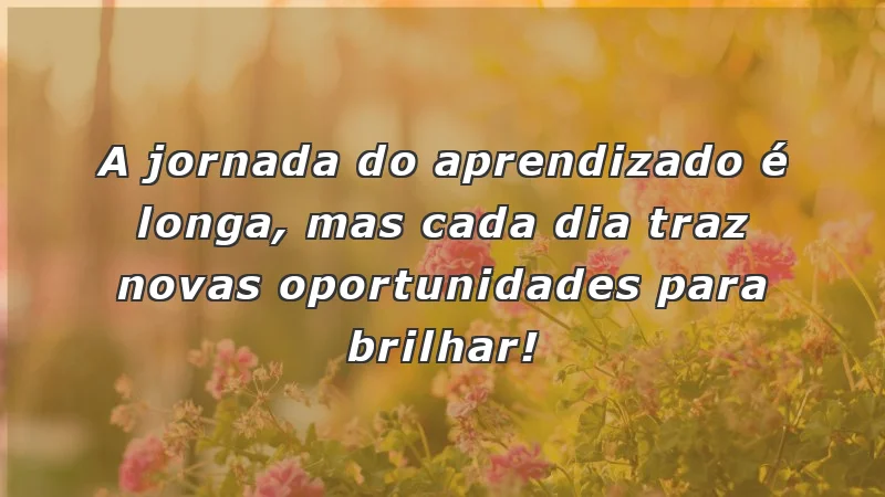 Frases de incentivo para alunos: descubra oportunidades diárias de aprendizado e crescimento.