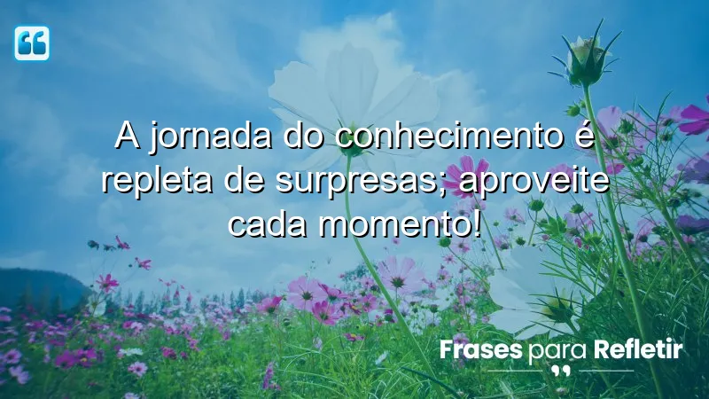 Frases de Incentivo para Estudo - A jornada do conhecimento é repleta de surpresas.