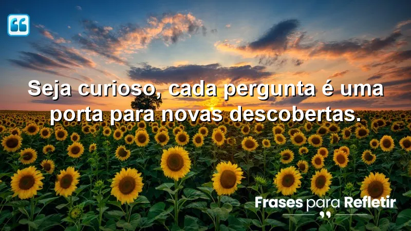 Frases de Incentivo para Estudo: A curiosidade como chave para o aprendizado.