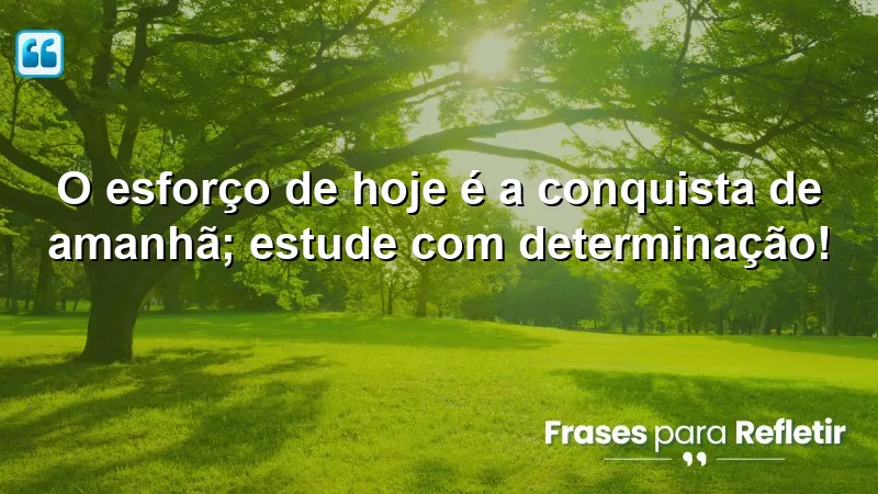 Imagem com Frases de Incentivo para Estudo, destacando a importância do esforço e determinação nos estudos.