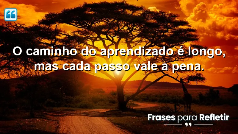 Frases de Incentivo para Estudo - Motivação e crescimento pessoal.